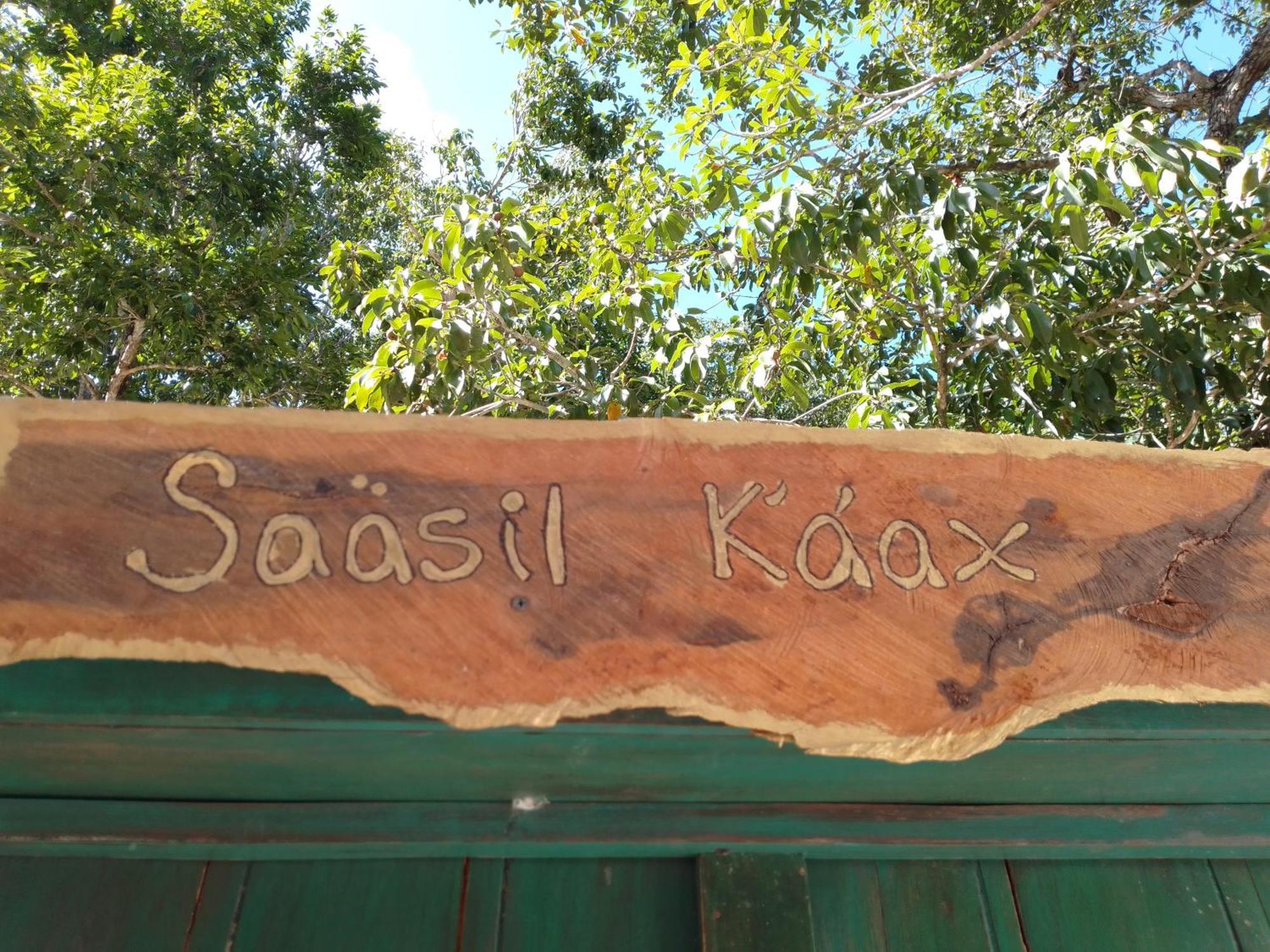 הוילה Chemuyil Saasil Kaax מראה חיצוני תמונה